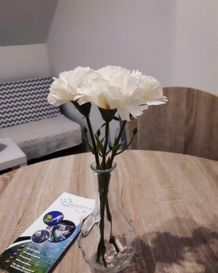 Apartman Lena Tusilovic Luaran gambar