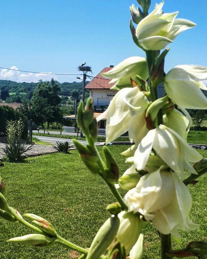 Apartman Lena Tusilovic Luaran gambar